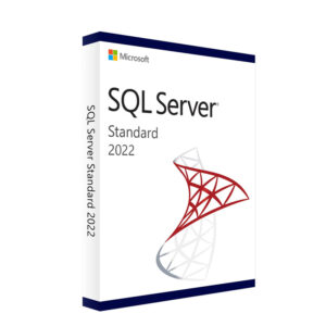 Microsoft SQL Server 2022 Standard Edition 1 User License