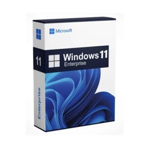 Microsoft Windows 11 Enterprise Lifetime License Key