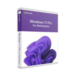 Microsoft Windows 11 Pro Workstation License Key